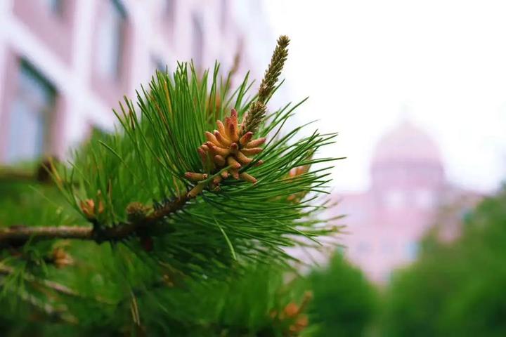 3a068a5f1fc24443bc78fdfb2430de1a.jpg 3a068a5f1fc24443bc78fdfb2430de1a.jpg